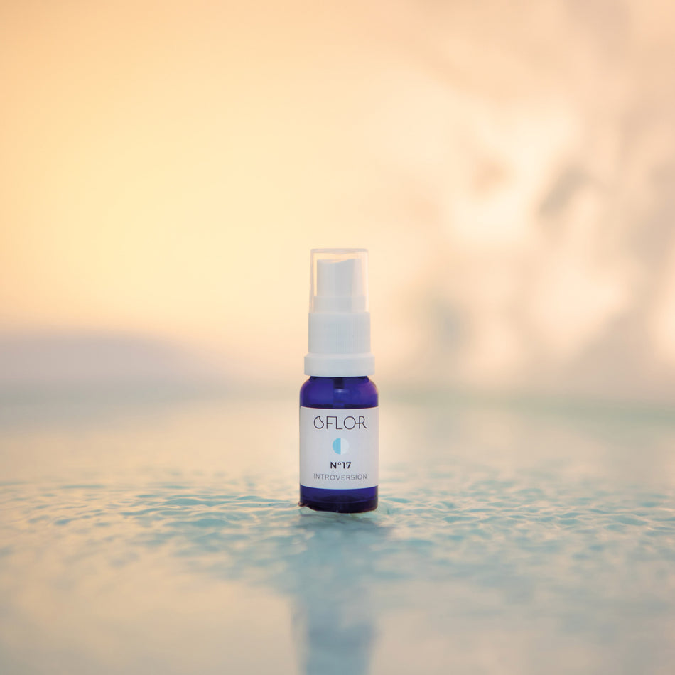 O'Flor n°17 Introversion
